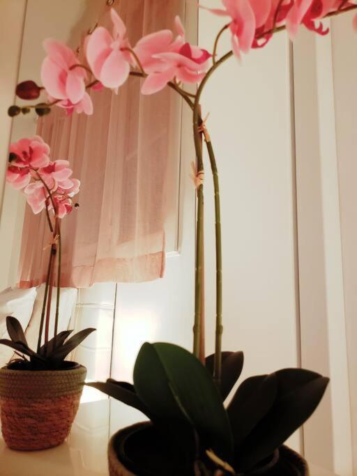 Appartement Cosy Plein Centre Ница Екстериор снимка